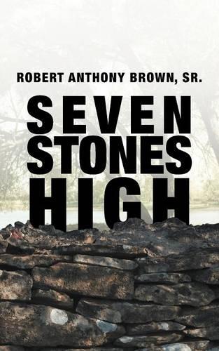 Seven Stones High (Paperback)