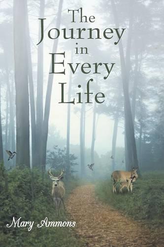 The Journey In Every Life (Paperback)