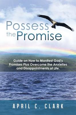 Possess the Promise: Guide on How to Manifest God's Promises Plus Overcome the Anxieties and Disappointments of Life. (Paperback)