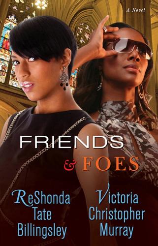 Friends & Foes (Paperback)