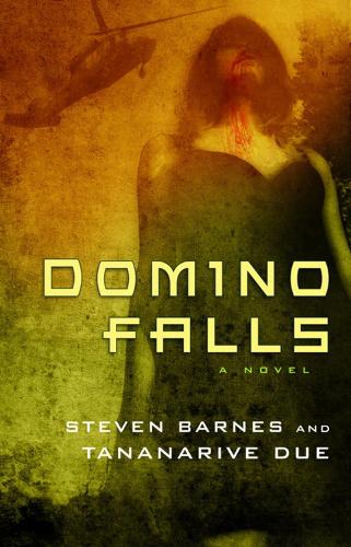 Domino Falls (Paperback)