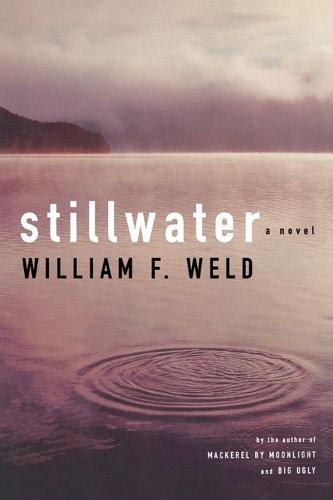 Stillwater: A Novel (Paperback)