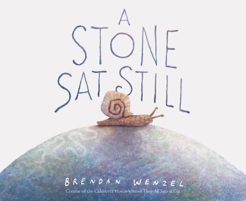 A Stone Sat Still (Hardback)