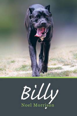Billy (Paperback)