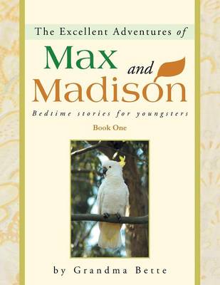 The Excellent Adventures of Max and Madison: Bedtime Stories for Youngsters (Paperback)