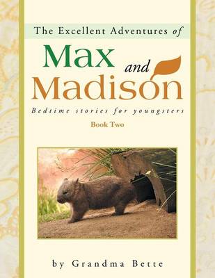 The Excellent Adventures of Max and Madison: Bedtime Stories for Youngsters (Paperback)