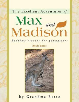 The Excellent Adventures of Max and Madison: Bedtime Stories for Youngsters (Paperback)