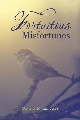 Fortuitous Misfortunes (Paperback)