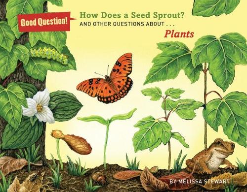 How Does a Seed Sprout?: And Other Questions About Plants (Paperback)