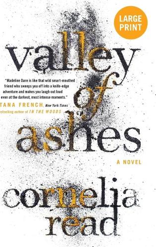 Valley of Ashes (Hardback)