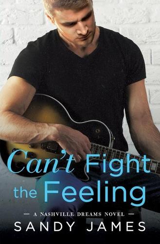 Can't Fight the Feeling (Paperback)