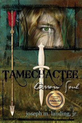 Tamechactee: Arrow Soul (Paperback)