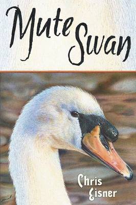 Mute Swan (Paperback)