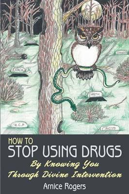 How to Stop Using Drugs: By Knowing You Through Divine Intervention (Paperback)