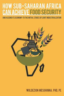 How Sub-Saharan Africa Can Achieve Food Security and Ascend Its Economy to the Initial Stages of Light Industrialization (Hardback)
