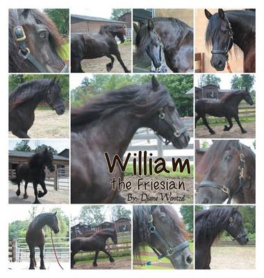 William the Friesian (Hardback)