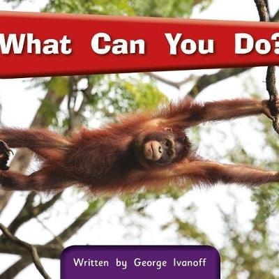 Springboard Connect 3a What Can You Do? (Paperback)