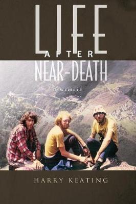 Life After Near-Death: A Memoir (Paperback)
