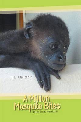 A Million Mosquito Bites (Paperback)