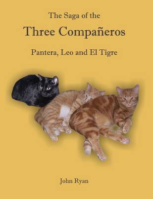 The Saga of the Three Compa�eros: Pantera, Leo and El Tigre (Paperback)