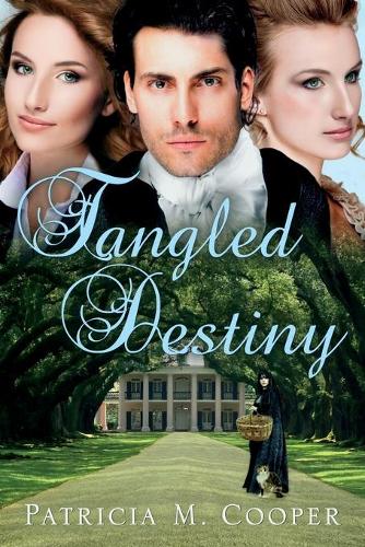 Tangled Destiny (Paperback)