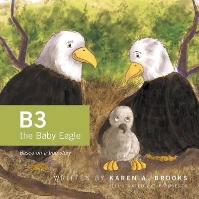 B3 the Baby Eagle: Based on a True Story (Paperback)