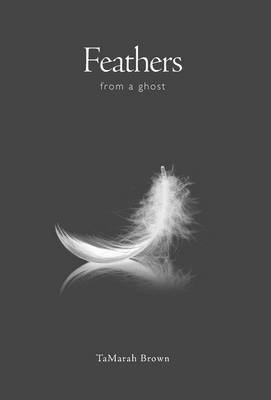 Feathers from a Ghost (Hardback)