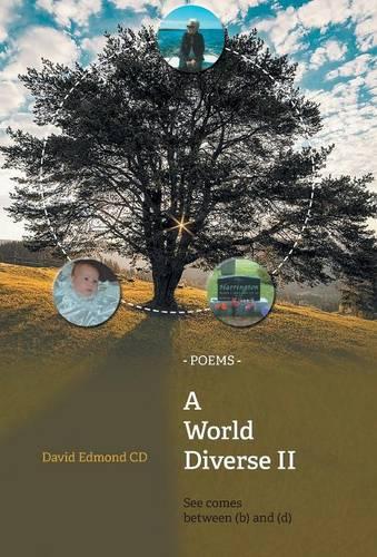 A World Diverse II: See Comes Between (B) and (D) (Hardback)