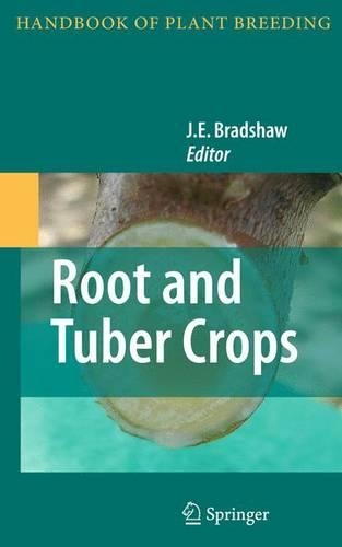 Root and Tuber Crops - Handbook of Plant Breeding 7 (Paperback)