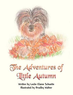 The Adventures of Little Autumn (Paperback)