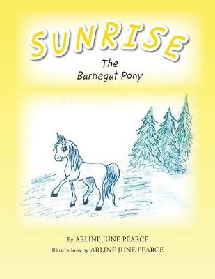 Sunrise the Barnegat Pony (Paperback)