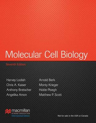 Molecular Cell Biology: International Edition (Hardback)