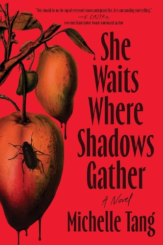 Sourcebooks, Inc She Waits Where Shadows Gather
