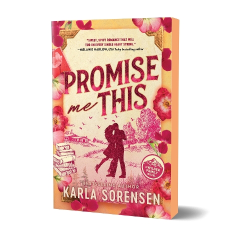 Sourcebooks, Inc Promise Me This