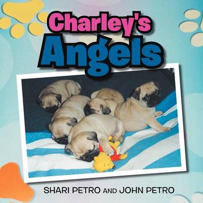 Charley's Angel (Paperback)