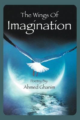 The Wings of Imagination (Paperback)