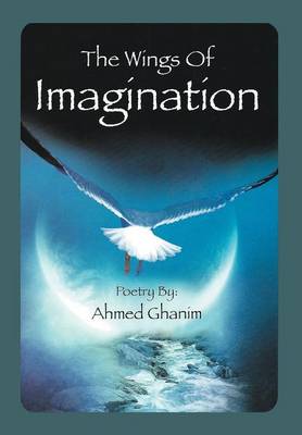 The Wings of Imagination (Hardback)