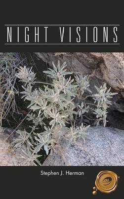 Night Visions (Hardback)