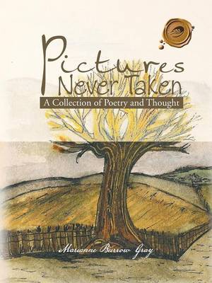 Pictures Never Taken: A Collection of Poetry and Thought (Paperback)