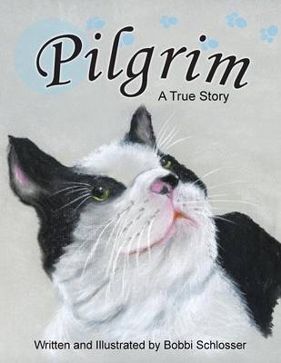 Pilgrim: A True Story (Paperback)
