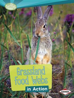 Grassland Food Webs in Action - Searchlight Books What is a Food Web (Paperback)