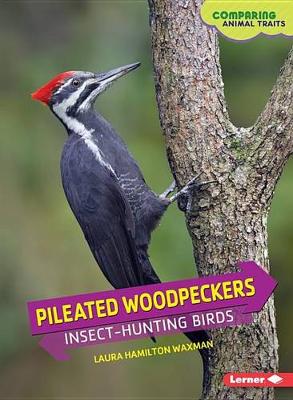 Pileated Woodpeckers: Insect-Hunting Birds - Comparing Animal Traits (Paperback)