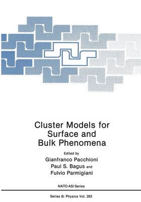 Cluster Models for Surface and Bulk Phenomena - NATO Science Series B 283 (Paperback)