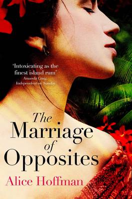 Cover of the book The Marriage of Opposites