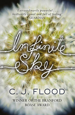 Infinite Sky by C.J. Flood