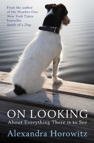 On Looking: About Everything There is to See (Paperback)