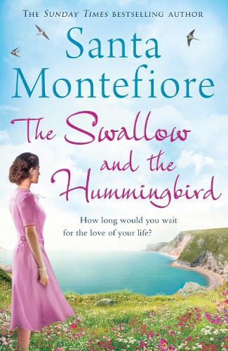 The Swallow and the Hummingbird (Paperback)