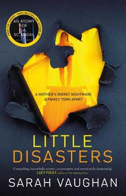 Little Disasters (Hardback)