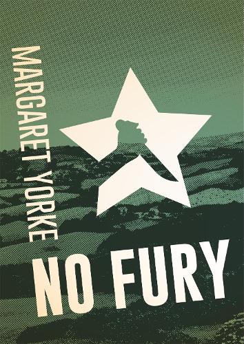 No Fury - Murder Room (Paperback)