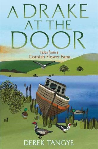 A Drake at the Door: Tales from a Cornish Flower Farm - Minack Chronicles (Paperback)